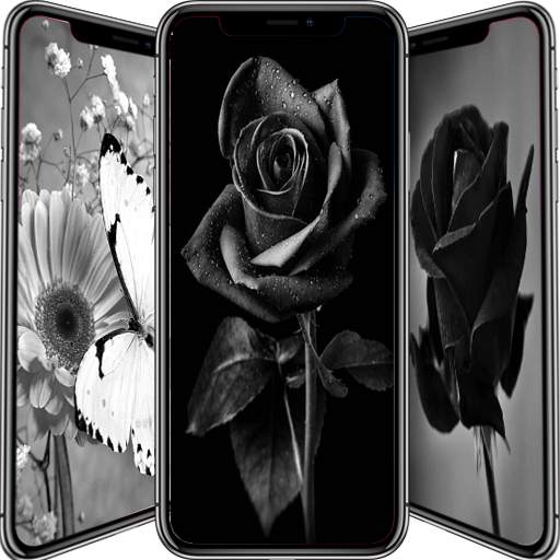 Black Flowers Wallpaper