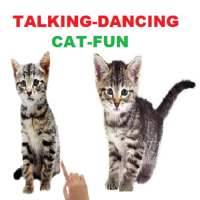Talking Cat-Animal-Dance app