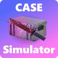 Case Simulator FF