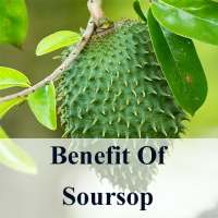 Benefits of Soursop on 9Apps
