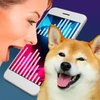 Собачий Переводчик Симулятор На Андроид App Скачать - 9Apps