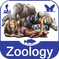 Zoology Study on 9Apps