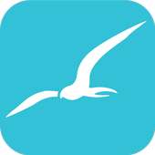 Albatross Web Browser