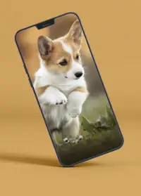 descarga gratuita de fondos de pantalla de perros lindos