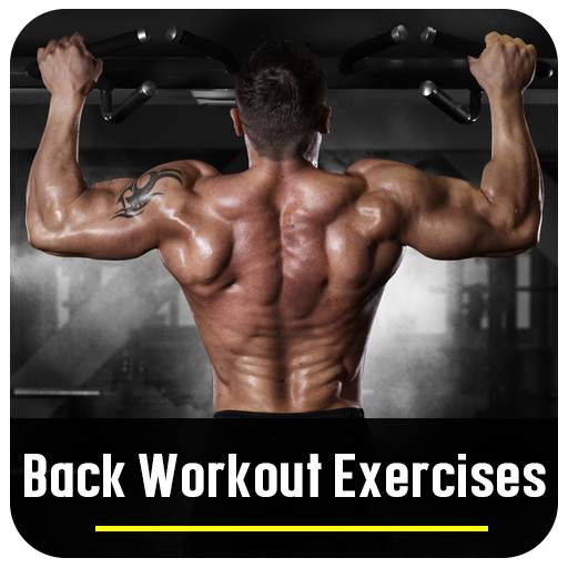 Back Workout Exercises