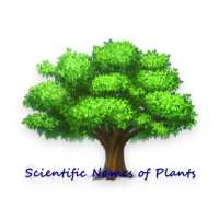 Scientific Names of Plants