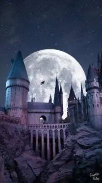 Tải xuống ứng dụng Hogwarts Castle Wallpaper 4K 2023 - Miễn phí - 9Apps