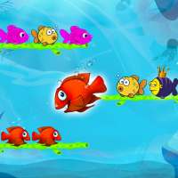 Fish Sort Color Puzzle Game on 9Apps