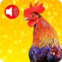 Loud Animal Ringtones – Animal Notification Alerts on 9Apps