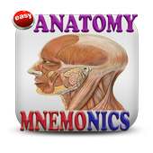 Anatomy Mnemonics on 9Apps