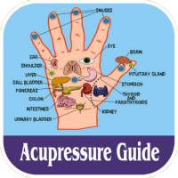 Acupressure Guide - एक्यूप्रेशर द्वारा उपचार on 9Apps