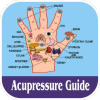 Acupressure Guide - एक्यूप्रेशर द्वारा उपचार