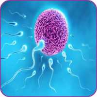 Infertility Solutions