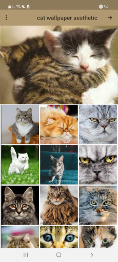 Cat WallpaperAmazoncomAppstore for Android