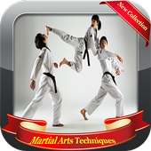 580   Martial Arts Techniques