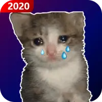 Sad cat dance APK for Android Download