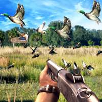 Duck Hunting Challenge on 9Apps
