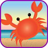 Beach Games Free For Girls