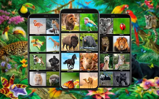 Descarga de la aplicación Fondos de Pantalla Animales 2023 - Gratis - 9Apps Descarga de la aplicación Fondos de Pantalla Animales 2023 - Gratis - 9Apps