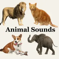 Animal Sounds 3D APK Download 2023 - Free - 9Apps