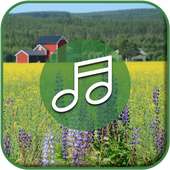 Amazing CountrySide Sounds on 9Apps