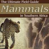 Ultimate Mammals Africa on 9Apps