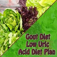 Gout Diet Plan - Low Uric Acid