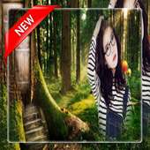 Forest Photo frame on 9Apps