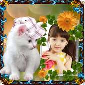 Kitty Photo Frame on 9Apps