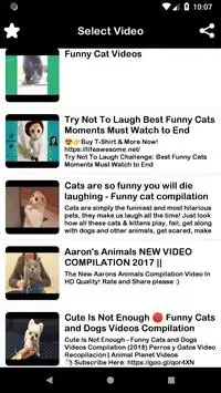 Funny Animals Videos APK Download 2023 - Free - 9Apps