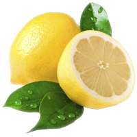Zitronen nutzt und Vorteile