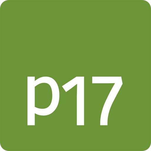 p17 GmbH