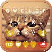 Cute Kitty Emoji Keyboard Theme Wallpaper on 9Apps