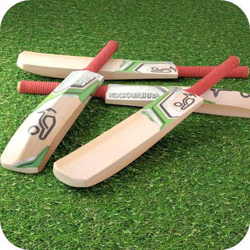 Cricket Bat Wallpaper 4K Latest