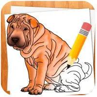 Descarga de la aplicación Cómo Dibujar Perros 2023 - Gratis - 9Apps Descarga de la aplicación Cómo Dibujar Perros 2023 - Gratis - 9Apps