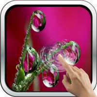 Drops of Morning Dew Live Wallpaper on 9Apps