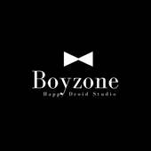 The Best of Boyzone Collection