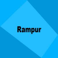 Alif RAMPUR - Current local news