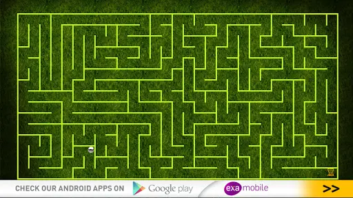 Hamster Maze APK for Android Download