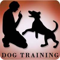Dog Training Videos : Learn Dog Training on 9Apps