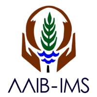 AAIB - IMS