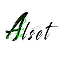 Alset Executive Transportation on 9Apps