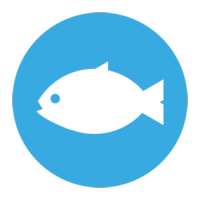 Catch a Fish - A hyperlocal dating app on 9Apps