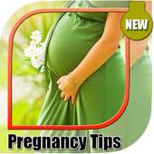 Pregnancy Tips on 9Apps