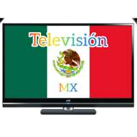 Televisión MX