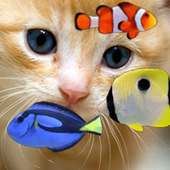 KITTY & FISH LIVE WALLPAPER(4) on 9Apps