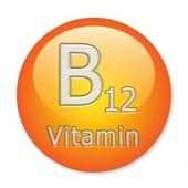 Vitamin B12 Foods