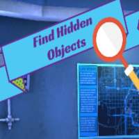 Find Hidden Objects