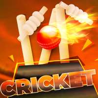 Indian Cricket League 2019: Piala Perdana Dunia