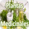 Plantas Medicinales